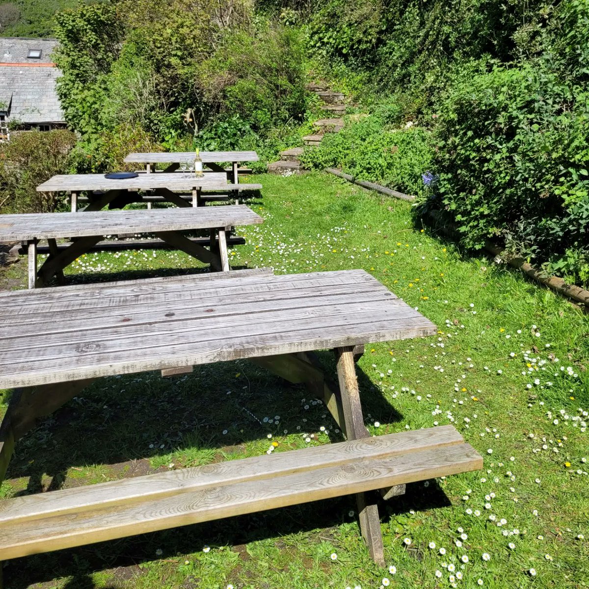 The Wellington Hotel tweet media