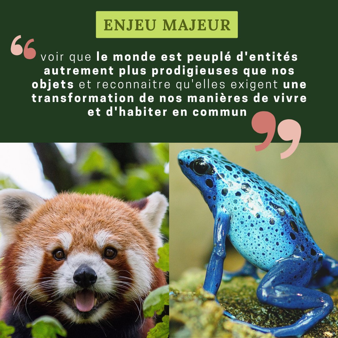 [NOTEBOOK#3]

En 2021, 23 espèces ont été déclaré éteintes ! 23 !

Il nous faut transformer "nos manières de vivre et d'habiter en commun".

C'est l'enjeu majeur !

Je vous conseille la lecture de l'excellent "Manière d'être vivant" de Baptiste Morizot.