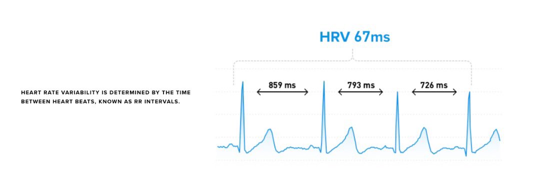 talosapp_me's tweet photo. I just saw this on @whoop website, interesting for our next development. 

#heartbeat https://t.co/oAXDlDUR6l