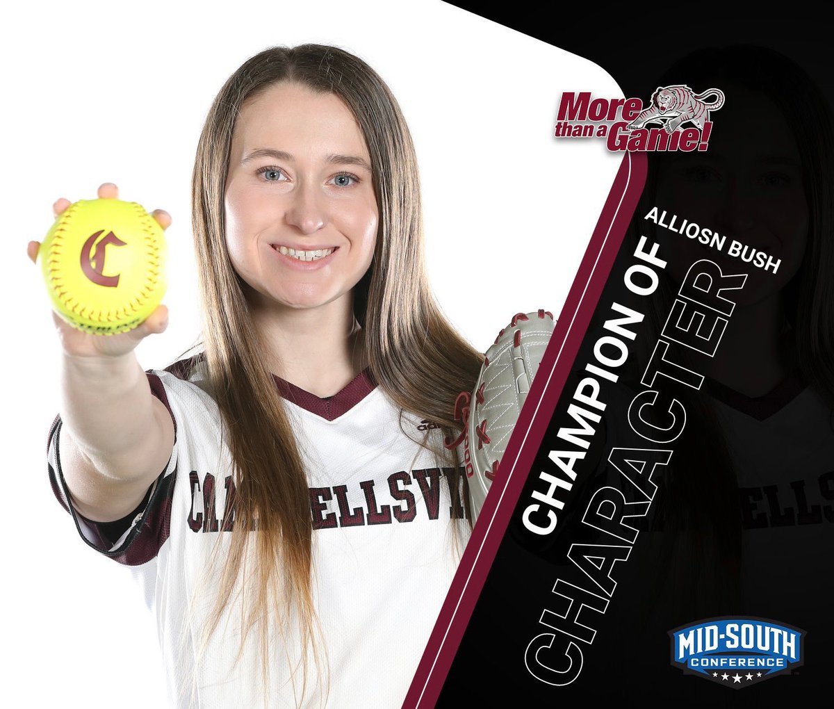 LadyTigerSoftball tweet media