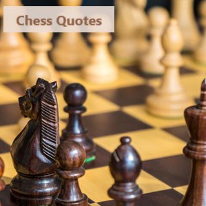 pawnsonchess's tweet photo. Chess Quotes 👉👉👉❗

#chess #ajedrez #echecs #xadrez #scacchi #шахматы #fidechess #chessplayer #chesslovers #chesslover #chessmaster #chessgame #chessboard #chessset #chesssets #chessmoves #chesstactics #chesstactic #chesspuzzle #chessproblem… https://t.co/oWp0FJGPHX https://t.co/gqqmhBxKan