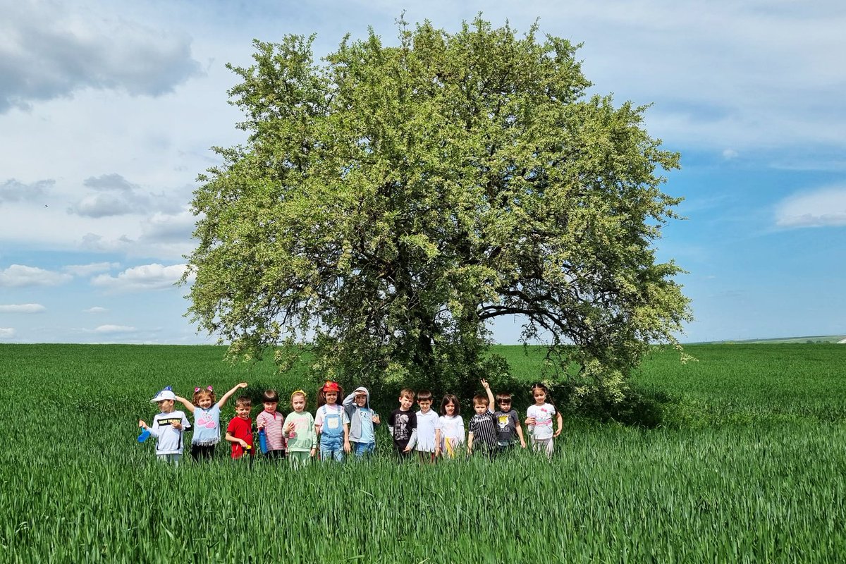 Öğrencilerimiz tatil öncesi baharın tadını çıkardılar. Oyunlar, danslar ve sportif aktiviteler ile doyasıya eğlenen öğrencilerimiz, haftayı büyük bir neşe ve mutlulukla bitiriyorlar.🌞#TEDEdirneKoleji