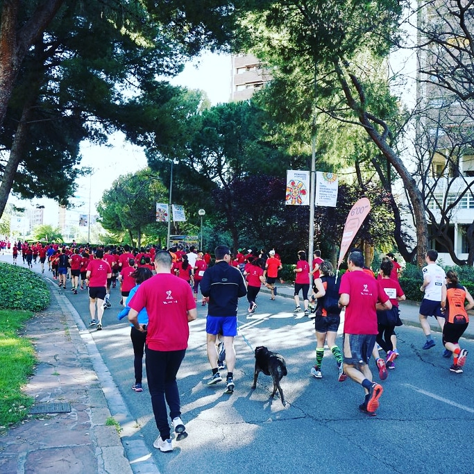 CursaEsplugues's tweet photo. 🏃🏽‍♀️Saps que ja et pots inscriure a la 10a cursa solidària d’@ajesplugues @SJDbarcelona_ca @WefeelEvents
👉https://t.co/d5P8s9678V
📌22 de maig 2022
💪Som-hi! Entrenem?  https://t.co/4XNs4VYxWL https://t.co/3jObLATGJc https://t.co/Xsya0S3NHd