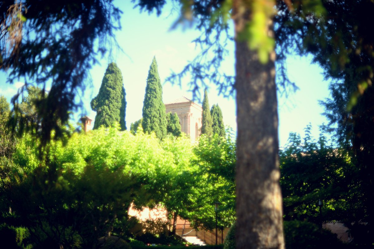 photogoshi's tweet photo. La Alhambra #アルハンブラ宮殿 
2015 #Alhambra #granada #Spain #Dreaminggranada #nikon #photography #ファインダー越しの私の世界 https://t.co/QvaXoM9Pt9