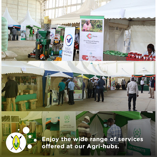 NCPB_KE's tweet photo. Our Agri-hubs offer a one-stop solution for all farmers' agricultural needs. Enjoy the wide range of services offered at our Agri-hubs.
#NCPB #NCPBReforms https://t.co/Mhbp59781u