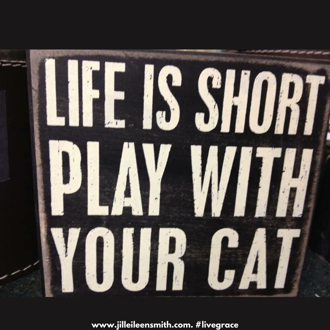 JillEileenSmith's tweet image. Tiger would agree with this. More than any other "life is short" comment.

#livegrace #catlover #catsign #quote #fridayfun #jilleileensmith #lifeisshort
