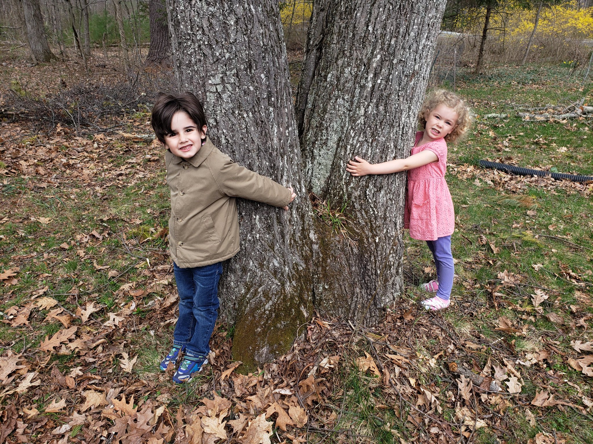 NYSDEC on Twitter "🌳Happy ArborDay! 🌳 Have you hugged a tree yet