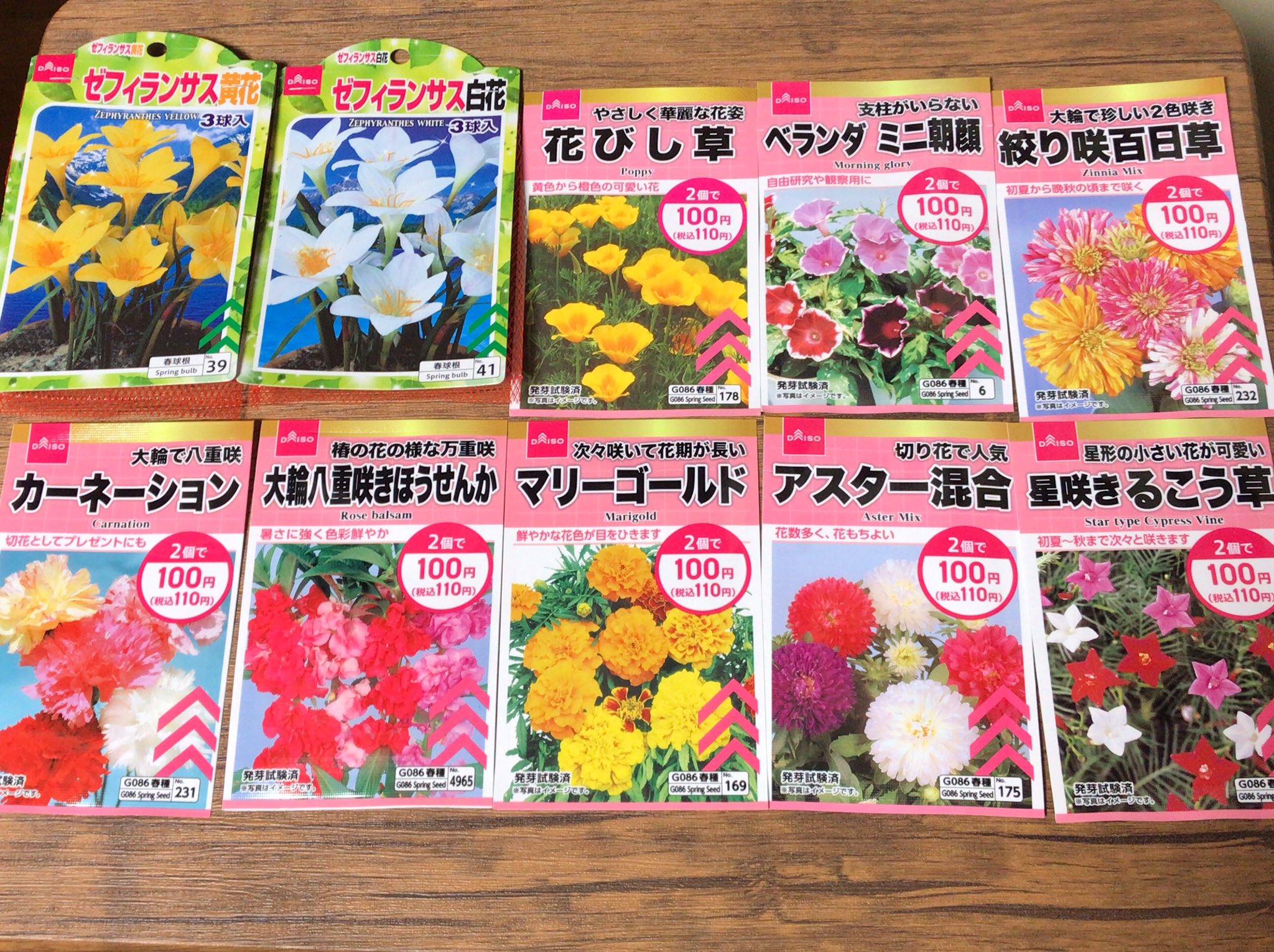 はるぷら ダイソーの種 追加で買いました とりあえず水に浸しておきます 適当 T Co 4whbuq7fvh Twitter