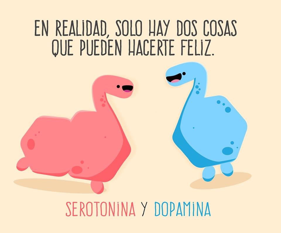 Enséñame de Ciencia tweet media