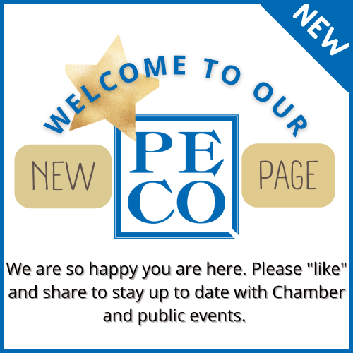 PQChamber's tweet photo. Check us out across platforms on #fb here: https://t.co/GiWdwU7c16. Our new page is active. 

#PQChamber https://t.co/NzbbvqLWfy