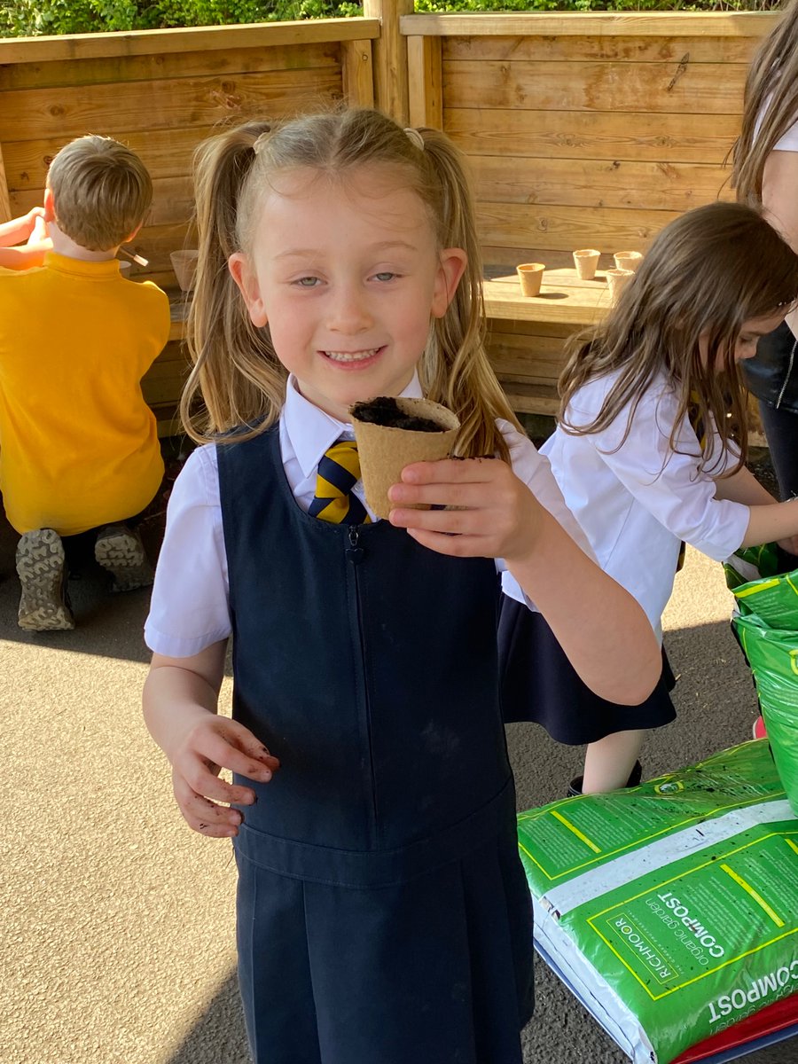 AitonPs's tweet photo. Primary 1 have been planting sunflower seeds today for Cambuslang Community Council. We hope these sunflowers will grow successfully & then brighten our local area ๐ป๐
#communitylinks #caringforourenvironment https://t.co/cjuoz75VnA