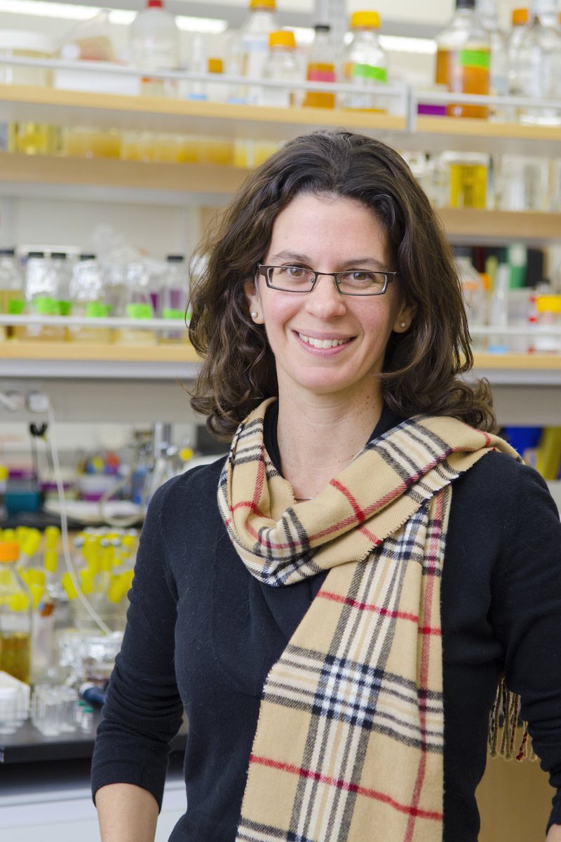 theNASciences's tweet photo. In recognition of her contributions to molecular geomicrobiology, Dianne K. Newman of @Caltech is being inducted into the National Academy of Sciences. 

Watch the #NAS159 livestream: https://t.co/GQE9FxjY3b #microbiology #molecularbiology https://t.co/HnLJCMi9k6