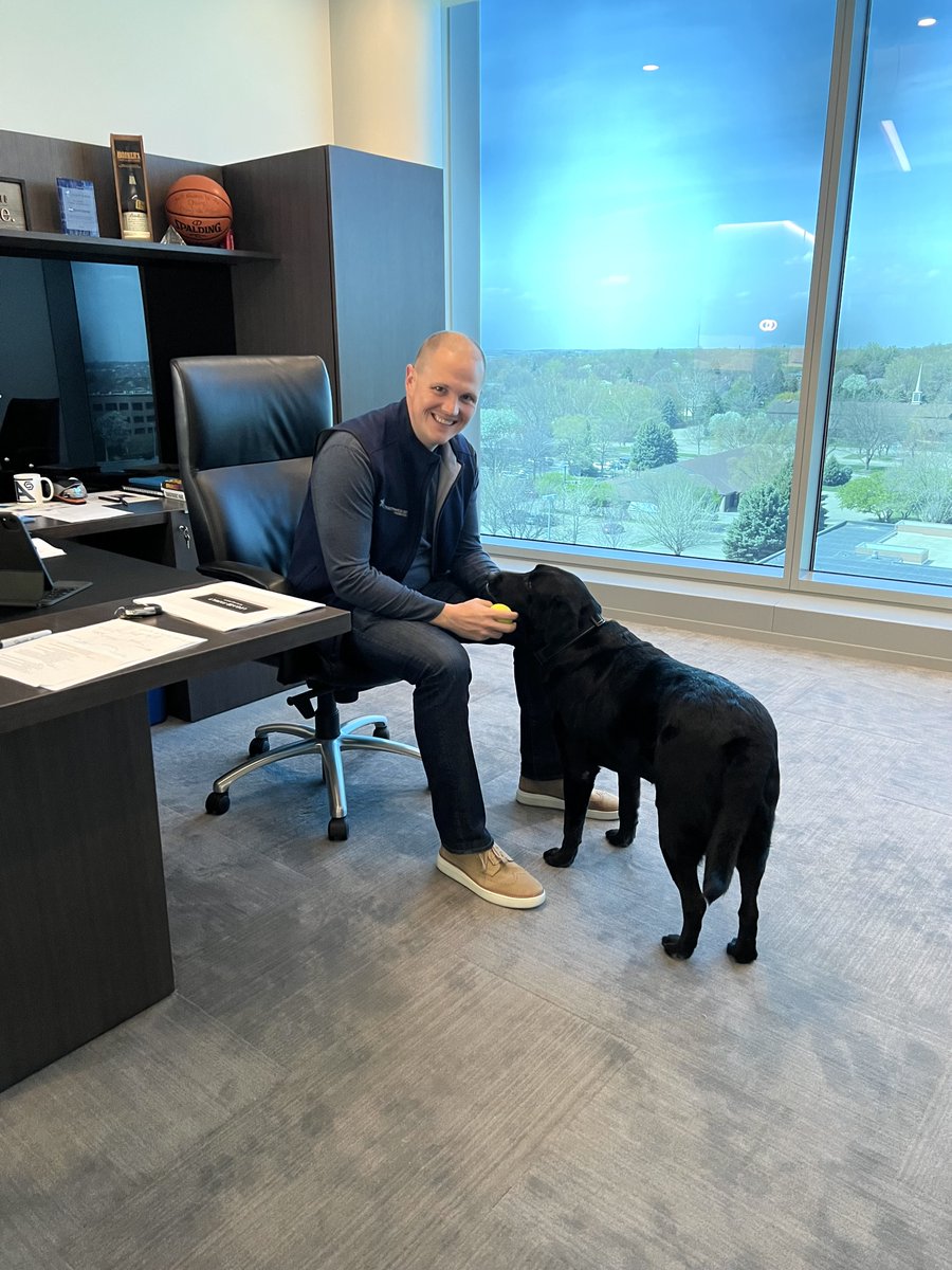 AaronSchaben's tweet photo. Smoke (who is often mistaken for @CCONellyCarson from afar) had to come into the office with me today since @rchusker was out. Sorry @StrengthSkill, now you're really out of tennis balls in the Health Center. https://t.co/XDnqKd3Fms