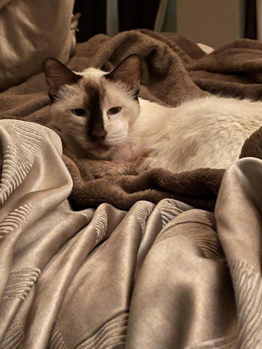 Andrew Krystal tweet media