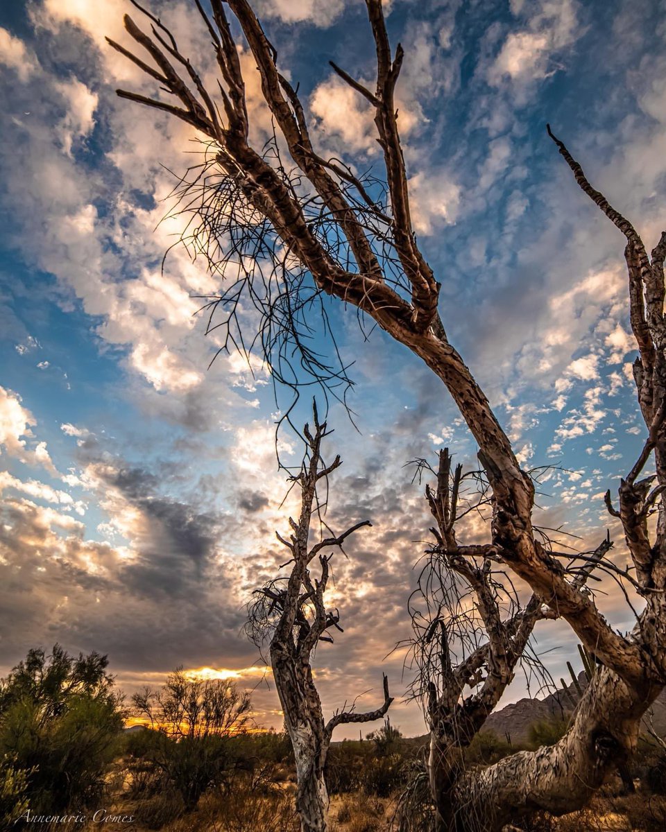 'Even on a cloudy day, the blue sky is still there.'
~Unknown

#TontoNationalForest #Arizona