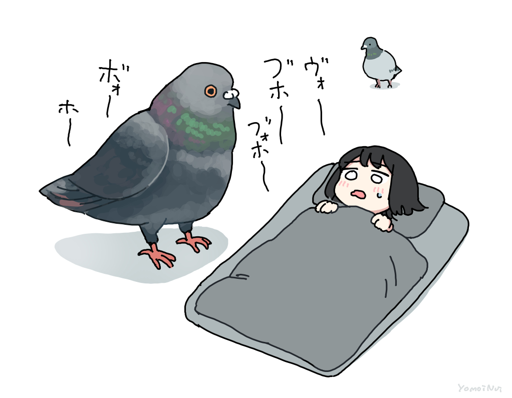 また鳩に起こされてる 