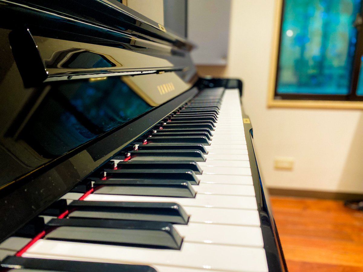 【#NOAH調律情報】
都立大店 P5st
ヤマハ アップライト
定期調律完了いたしました☘️
個人練習やレッスン室として人気のスタジオです🌷
皆さまのご来店お待ちしております♪
#pianostudionoah #都立大学