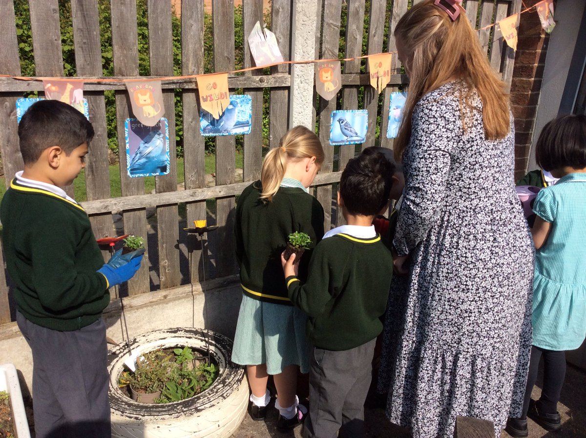 In Science we are learning about plants so this morning we are learning very practically by pulling out the weeds in our outdoor area and putting in some bedding plants to attract bees and butterflies. 🐝🌱🦋 #WeAreBrightFutures
