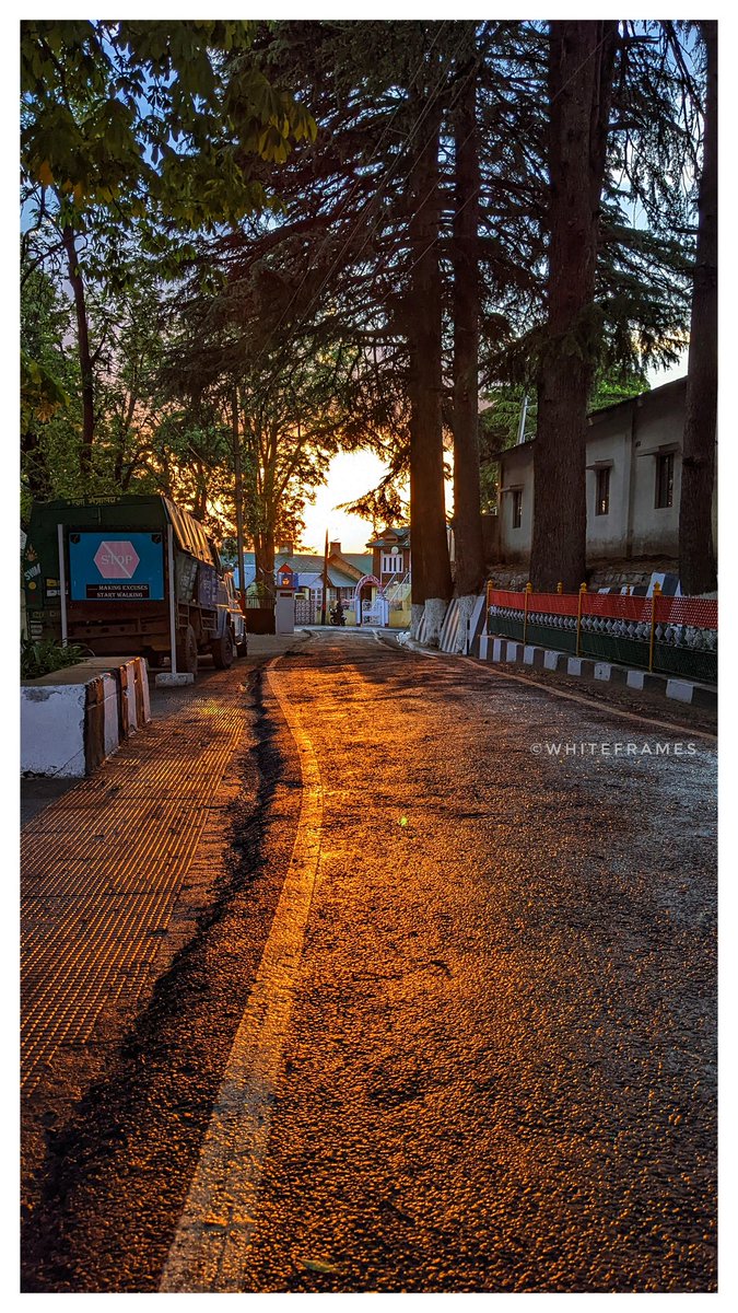 whiteframes's tweet image. Sunset 🌇
#photographylovers #whiteframes #NaturePhotography