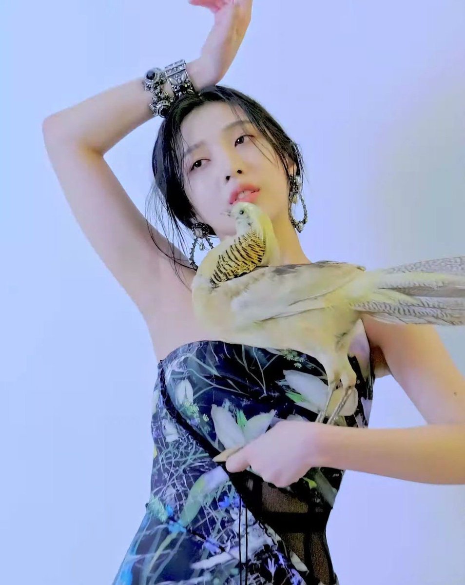 joy archives tweet media