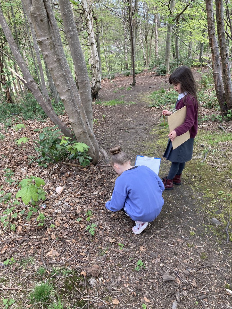 MissBinnieP1B's tweet photo. On a shape hunt in the glen yesterday! 🟣🟨🔷 https://t.co/LRfCT2x0fL