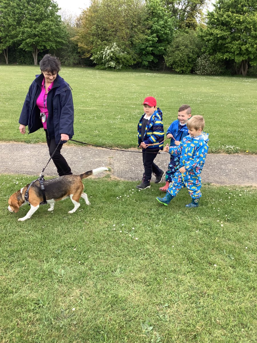 KnockhallEYFS's tweet photo. Owlets Class have had a very special explorer friend visit them at Forest School Basecamp todayπΆBetsy helped the children find some very well hidden phonics wordsππΏπ€ @W00dlandAcademy @KnockhallPrima1 #eyfsforestschool https://t.co/LKHSvcYn5i