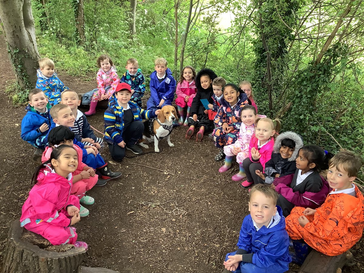 KnockhallEYFS's tweet photo. Owlets Class have had a very special explorer friend visit them at Forest School Basecamp todayπΆBetsy helped the children find some very well hidden phonics wordsππΏπ€ @W00dlandAcademy @KnockhallPrima1 #eyfsforestschool https://t.co/LKHSvcYn5i