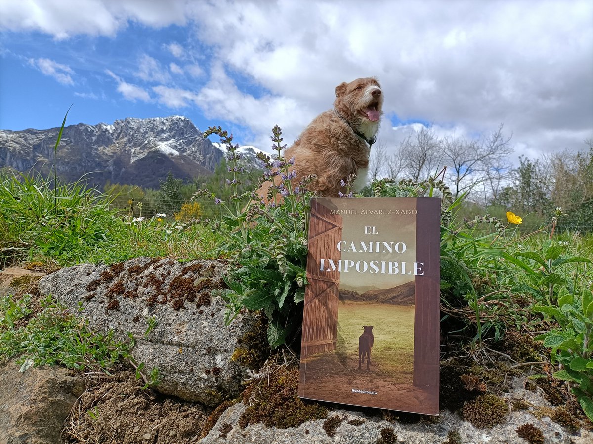 Revista Pasar Página: Presentación de «El camino imposible» de Manuel Ál... revistapasarpagina.blogspot.com/2022/04/presen…