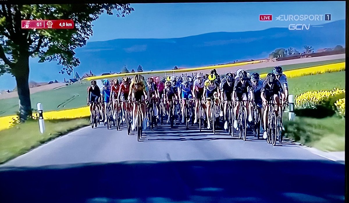 FredvanderKloor's tweet photo. #TourDeRomandie #cycling yellow #rapefields https://t.co/9RDpW09cwM