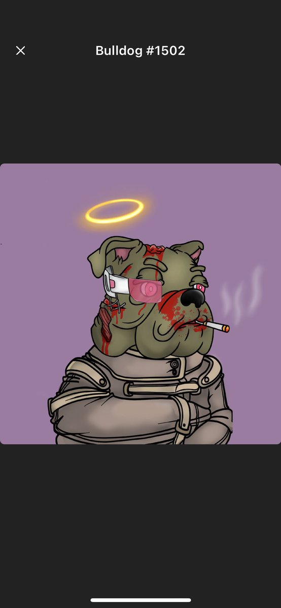 S0Ldawg's tweet photo. @TheWingDAO @DeGodsNFT @bbsolana @StonedApeCrew @bbsolana  absolute winner here , best project out there . Very undervalued rn 
Breeding end of may . It’s going to 🚀🚀
Get in while you still can . Get it or regret it🦴🦴 https://t.co/Ip14p0J6aM