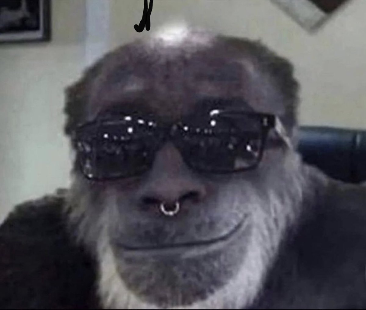 bartlebape_'s tweet photo. Didn’t buy the top of ape https://t.co/AoPGANugdm