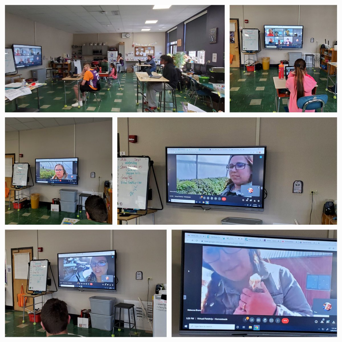 Intro to @Homesteads4Hope via a virtual fieldtrip w/ @LSajdakHHSWBL class. Thank you  #hopecrew #chiefinspirationofficer #rebeccabruno #growjobskillsforall #inspireopportunities #developworkbasedlearningonthefarm #greenskills #fallfieldtrip @HCSDLearns #employmentforall #farmjobs