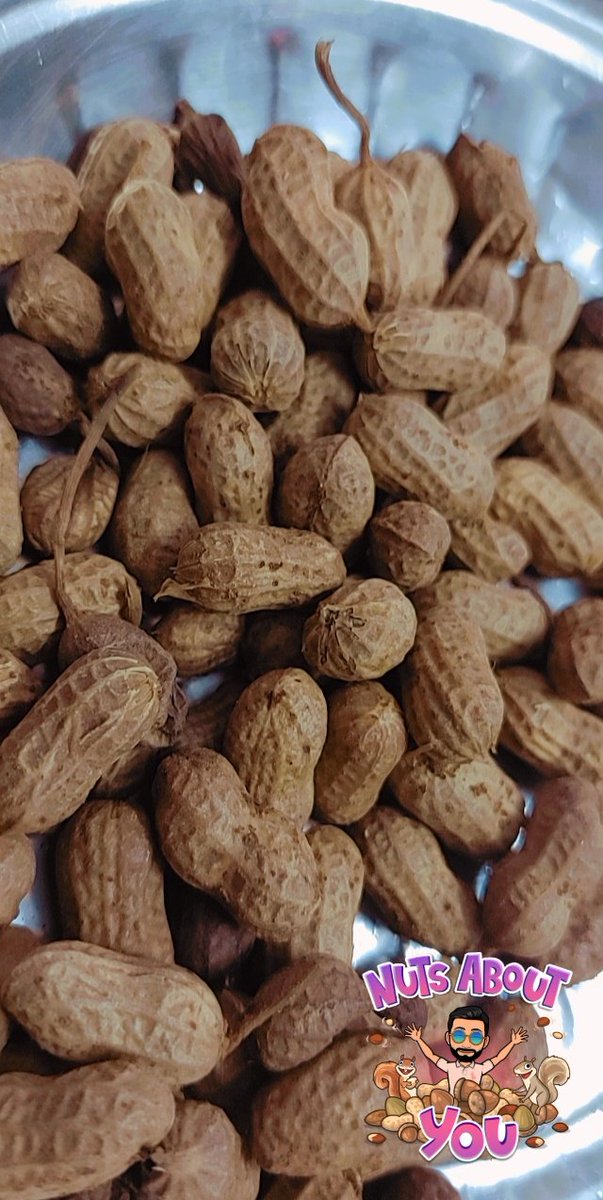 Bunparotta's tweet image. April dump ❤