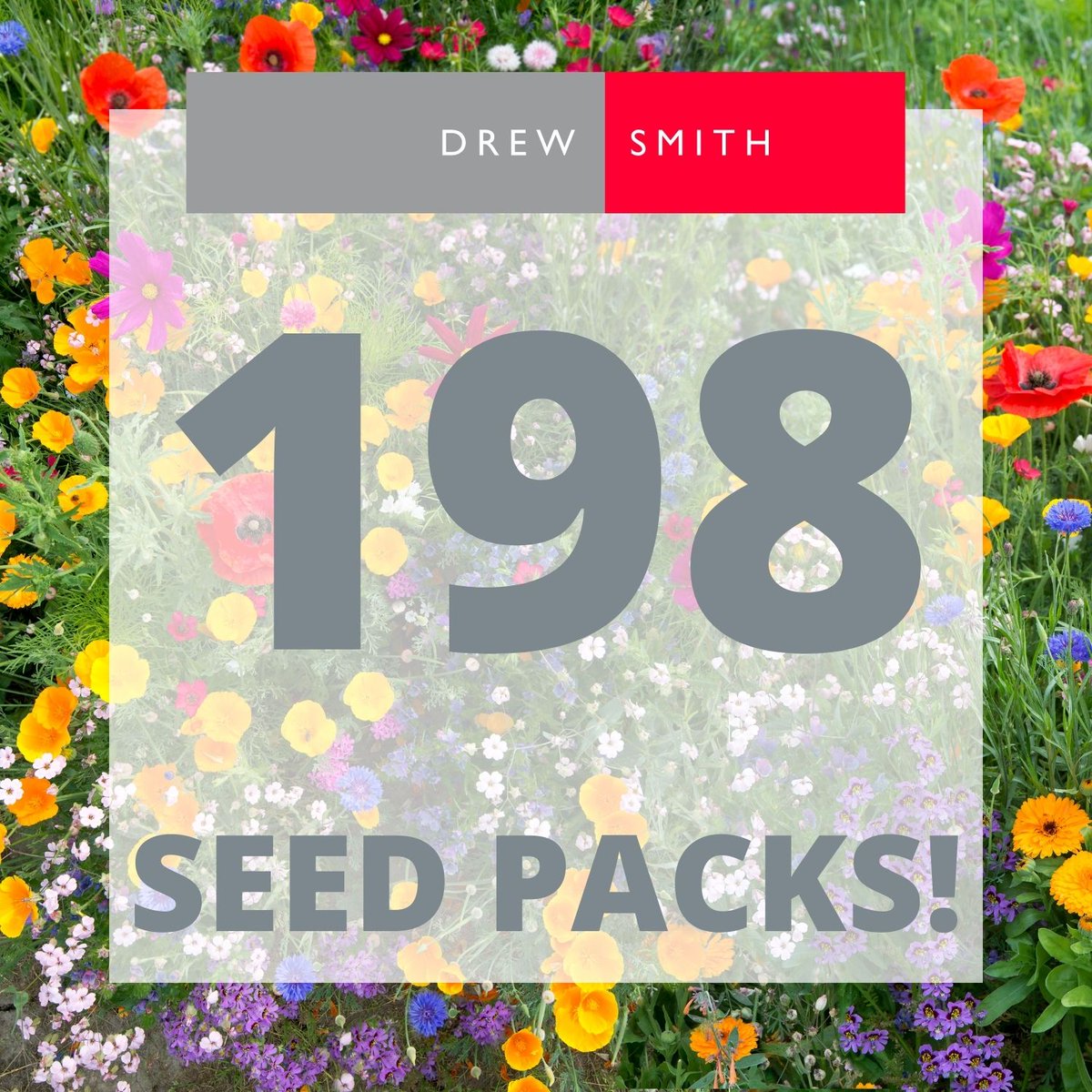 In preparation for #WildflowerWeek next week we have successfully given away 198 packs of seeds to local people, local schools and community groups 🌺🌸🌼 

#wildflowers #pollinatorfriendly #savethebees