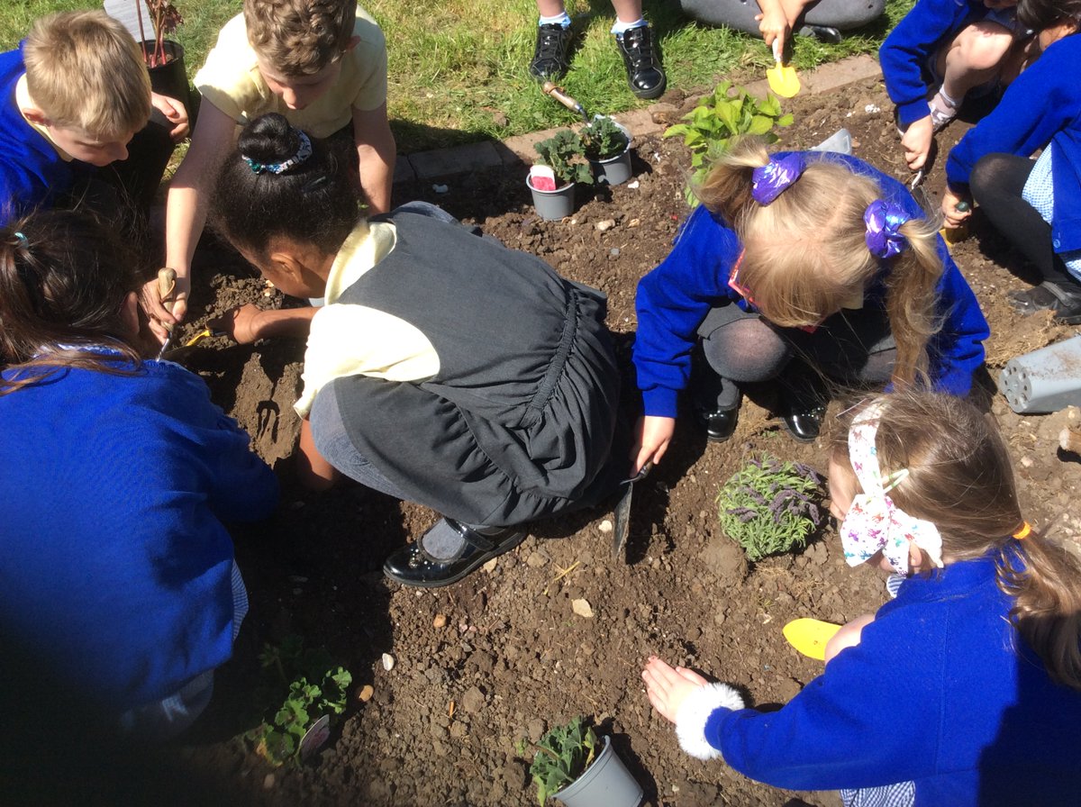 Herne Bay Infant School & Seashells Nursery tweet media
