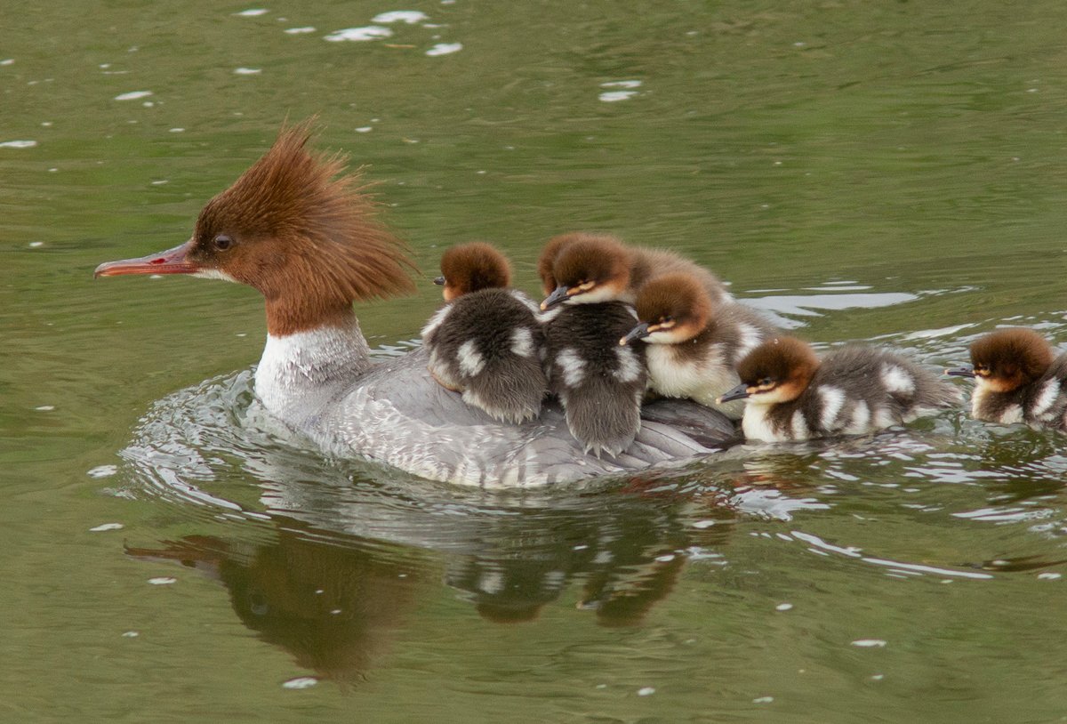 Mike Weedon tweet media