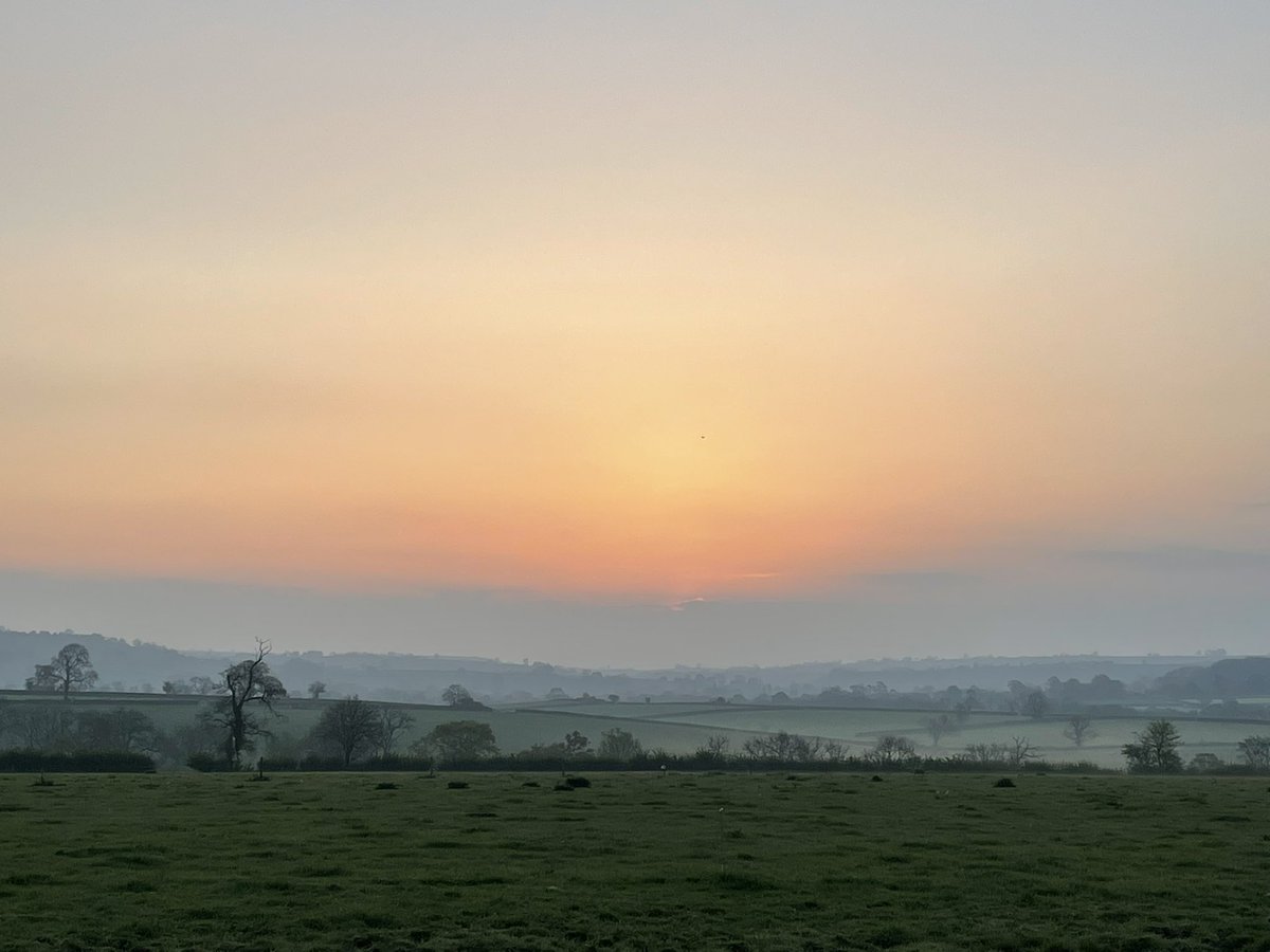 Clear TB test. What a relief. Do it all again in July.