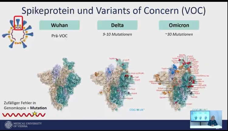 AberleJudith's tweet photo. Brilliant lecture by a top virologist!- Karin Stiasny talks about #SARS-CoV-2 variants and #HostImmunity - #TagderImmunologie @MedUni_Wien @IrisMedits @DSprngr @m_graninger
👉 https://t.co/5Fy4rKTvlz https://t.co/lt9YAUteGq