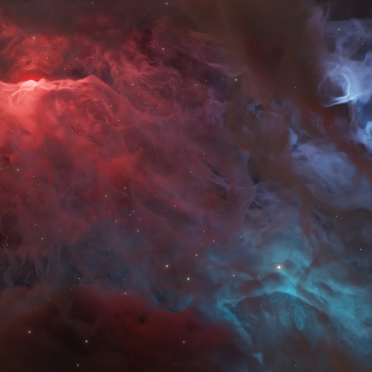 Mitchell Broom tweet media