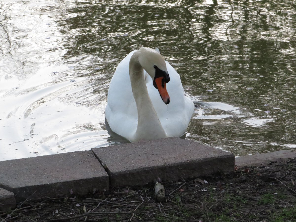PLKlein_Author's tweet photo. "Beauty is an attitude, there's no secret." ~ #EsteeLauder #ThinkingOutLoud #FridayMotivation #FridaySecret #QuickQuotes #FridayThoughts #Beauty #Attitude #NoSecret https://t.co/BAgqzwGy4p