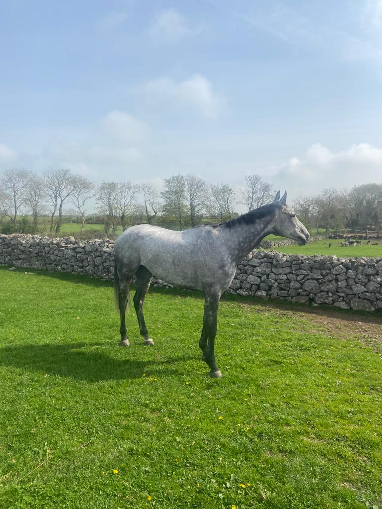 RichardO'BrienRacing tweet media