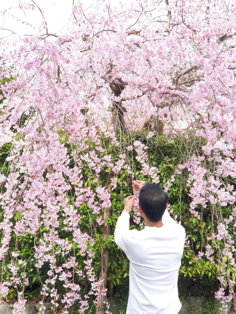 花が好き❤️🌸