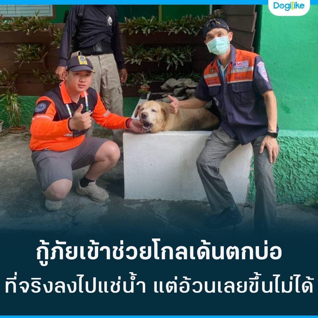 My Image 30
