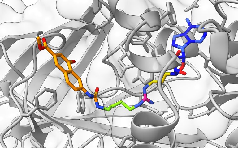 Gianluca Sbardella (@g_sbardella) on Twitter photo Our work on deconstructionāreconstruction approach turning non-selective type I PRMT inhibitors into potent and selective PRMT4 inhibitors is now available (open access) in <a href="/ACSBioMed/">ACS Publications Bio & Med Chem Content</a> JMC (asap). Thanks to all coauthors! <a href="/EpiMedChemLab/">EpigeneticMedChemLab</a>
Ā
shorturl.at/bnuEZ Our work on deconstructionāreconstruction approach turning non-selective type I PRMT inhibitors into potent and selective PRMT4 inhibitors is now available (open access) in <a href="/ACSBioMed/">ACS Publications Bio & Med Chem Content</a> JMC (asap). Thanks to all coauthors! <a href="/EpiMedChemLab/">EpigeneticMedChemLab</a>
Ā
shorturl.at/bnuEZ