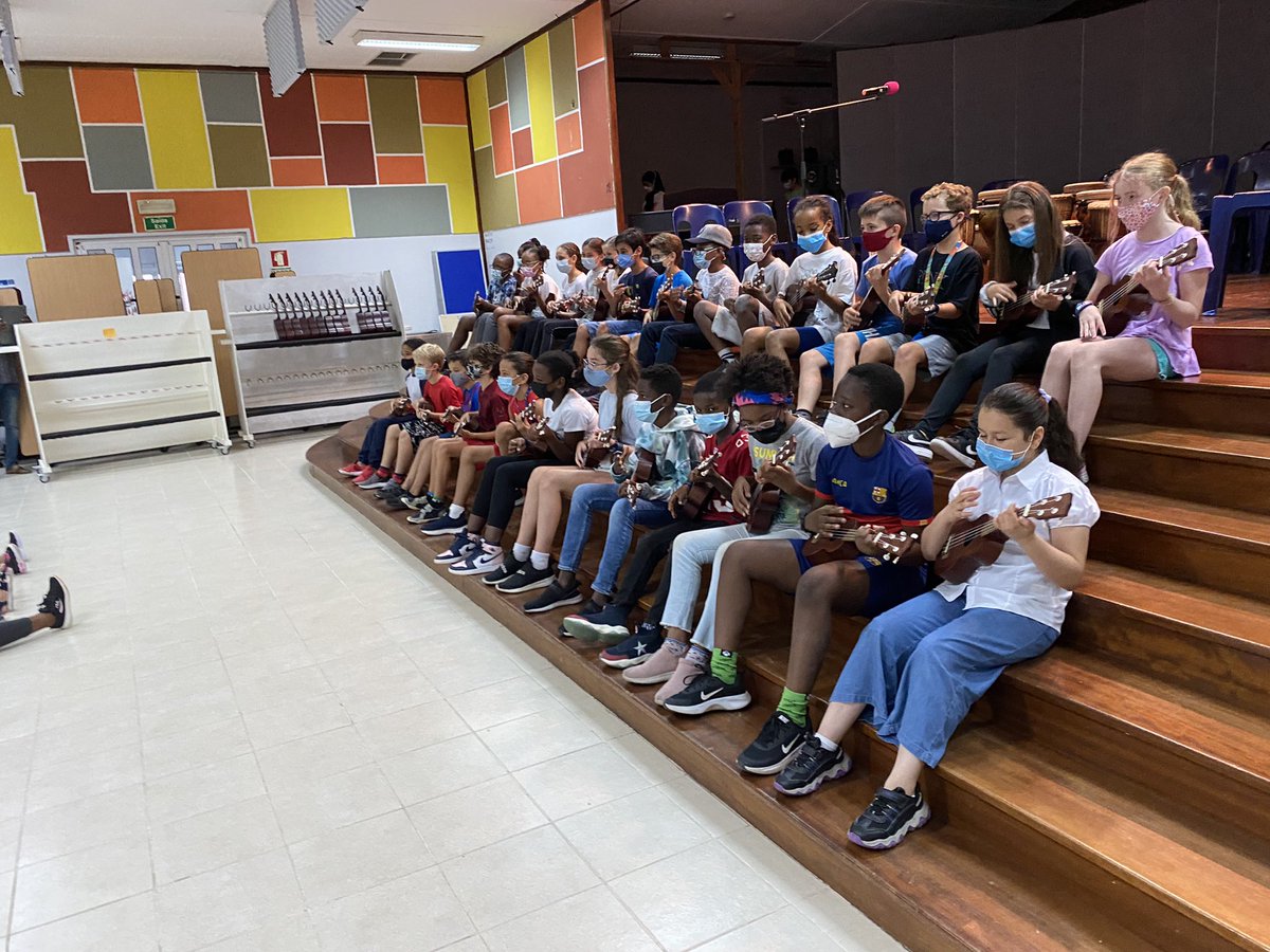 Primary Principal LIS tweet media