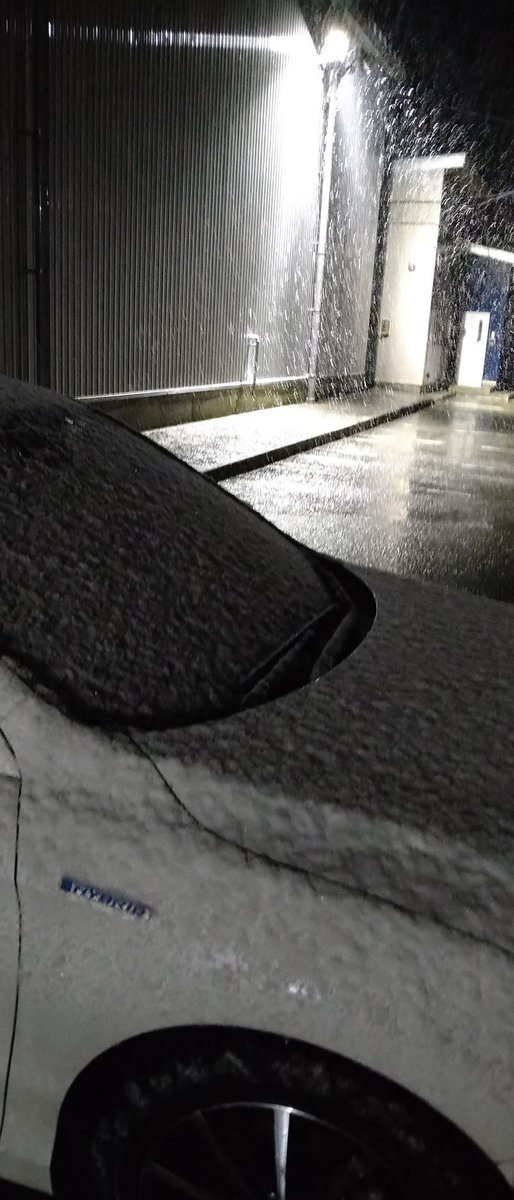 今年は桜散ってから雪降るんだ