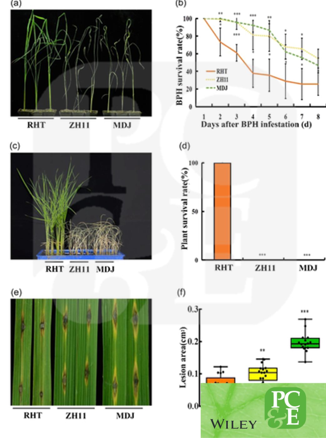 Plant Cell & Environment в Twitter: „Su Chen et al ask:
