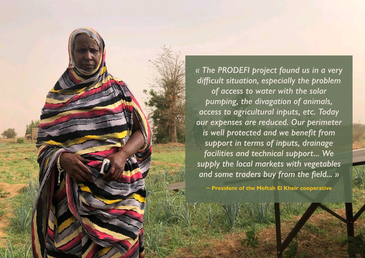 Prodefi_Mr's tweet photo. #IFAD
#PRODEFI https://t.co/SxmywfQgP1