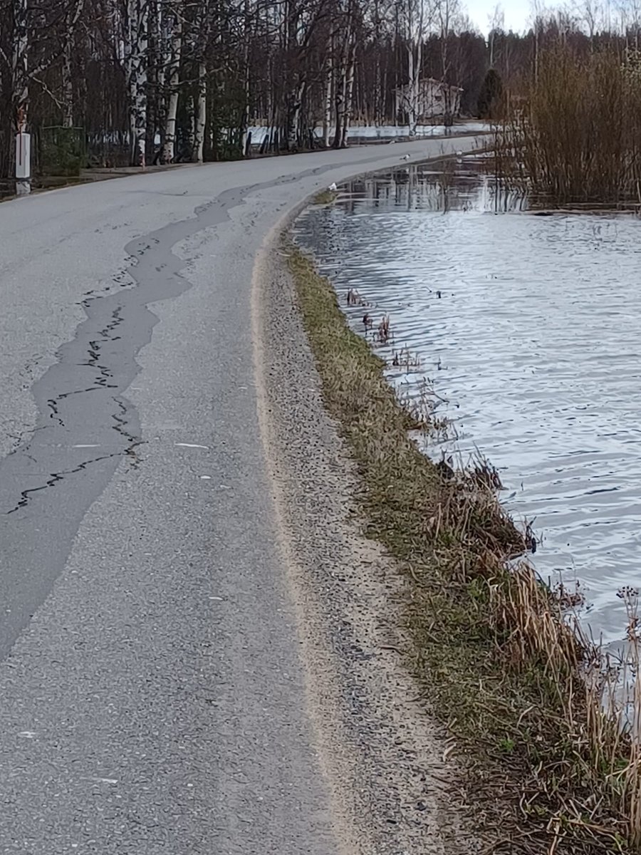 tulvatpohjanmaa's tweet photo. #Kuortaneenjärvi kipusi aivan tulvarajan tuntumaan, mutta vedenpinta on nyt kääntymässä laskuun. Jonkin verran pieniä teitä on jäänyt veden alle, eikä kaikkia ajoneuvoja muutenkaan sopisi käyttää… #Lapuanjoki #kevättulva #ELYkeskus https://t.co/YFHj5wzGcV