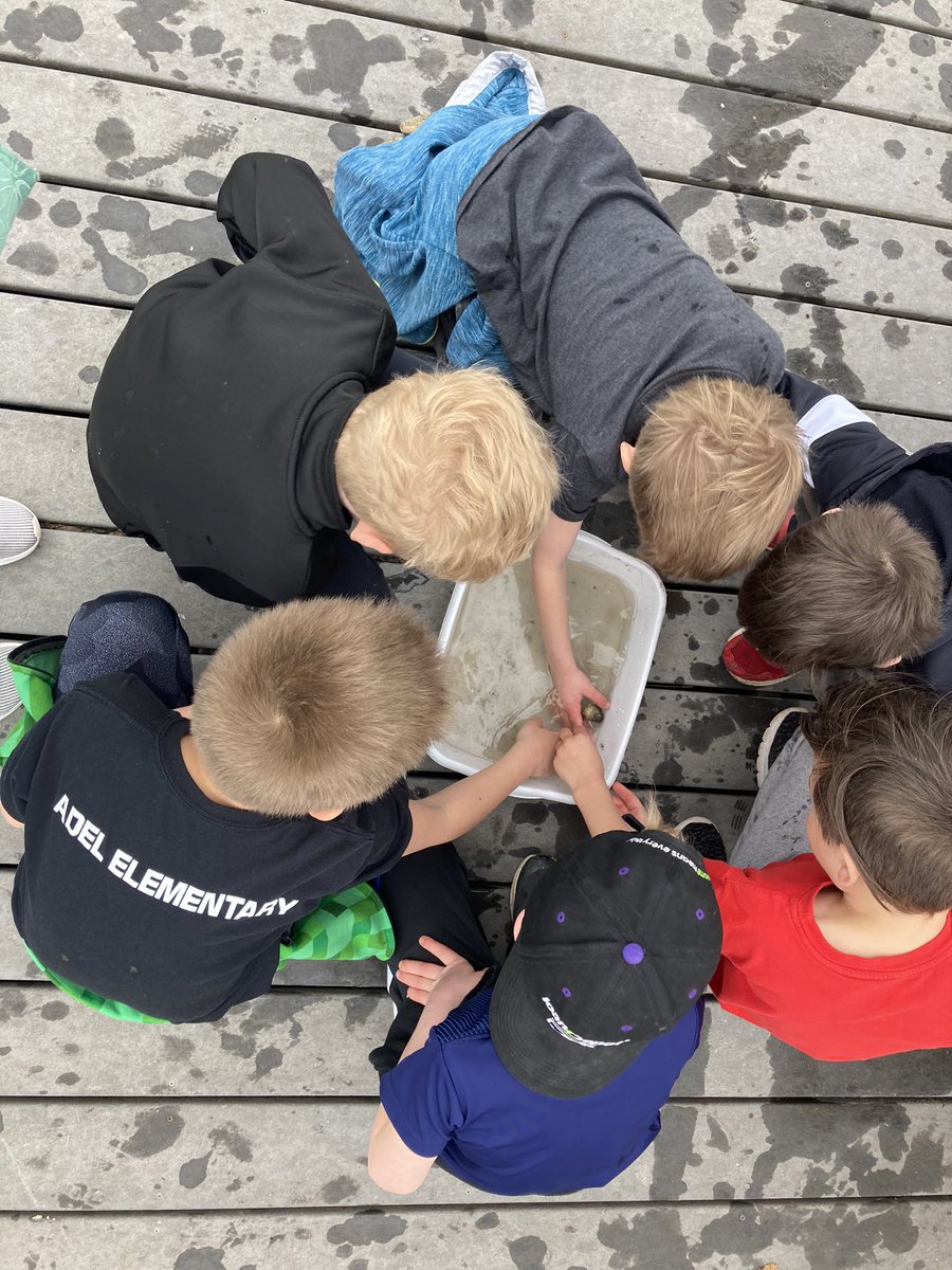 MissJobst's tweet photo. Catching tadpoles, searching for bugs, and climbing trees… We loved learning at the Brenton Arboretum! #WeAreADM https://t.co/IpgvfHUYVX